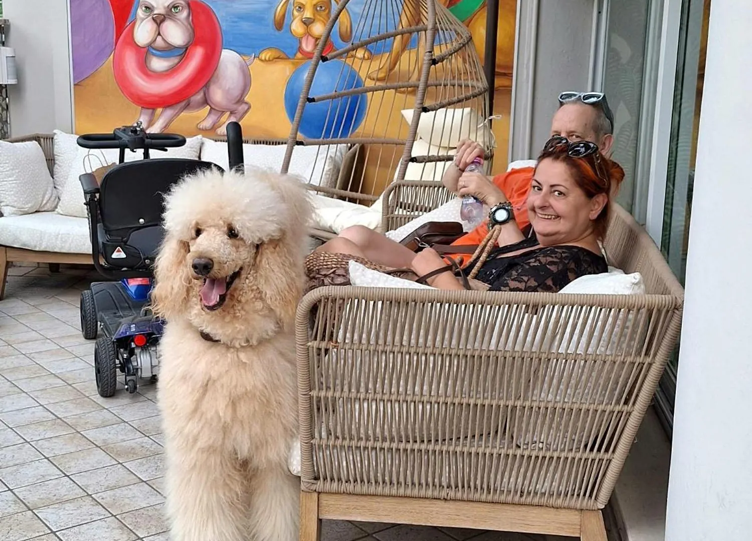 Pet Hotel Virginia - Hotel Per Cani Rimini
