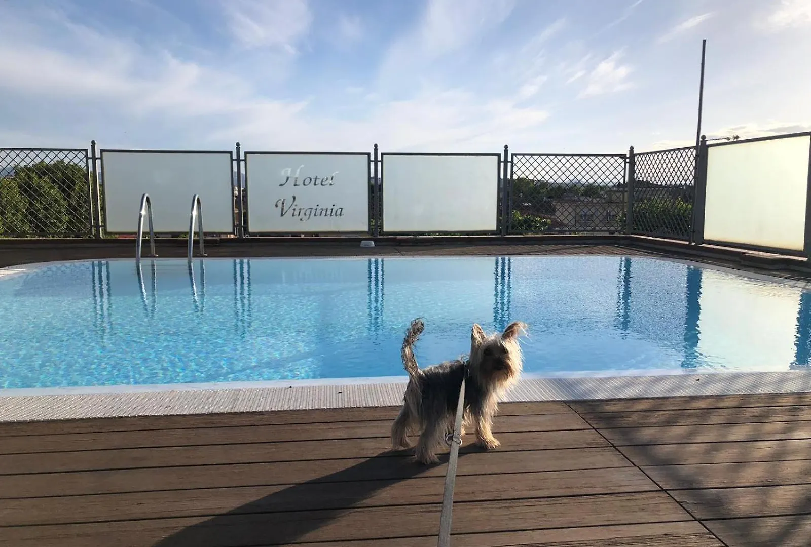 Pet Hotel Virginia - Hotel Per Cani Rimini