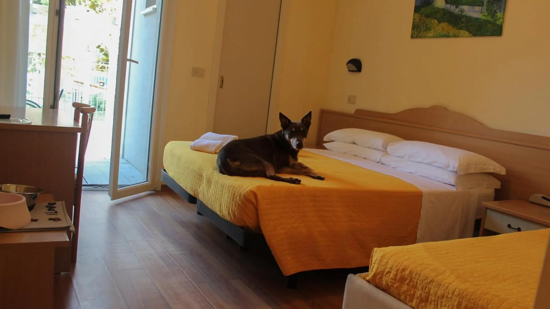 Pet Hotel Virginia - Hotel Per Cani Rimini Italy