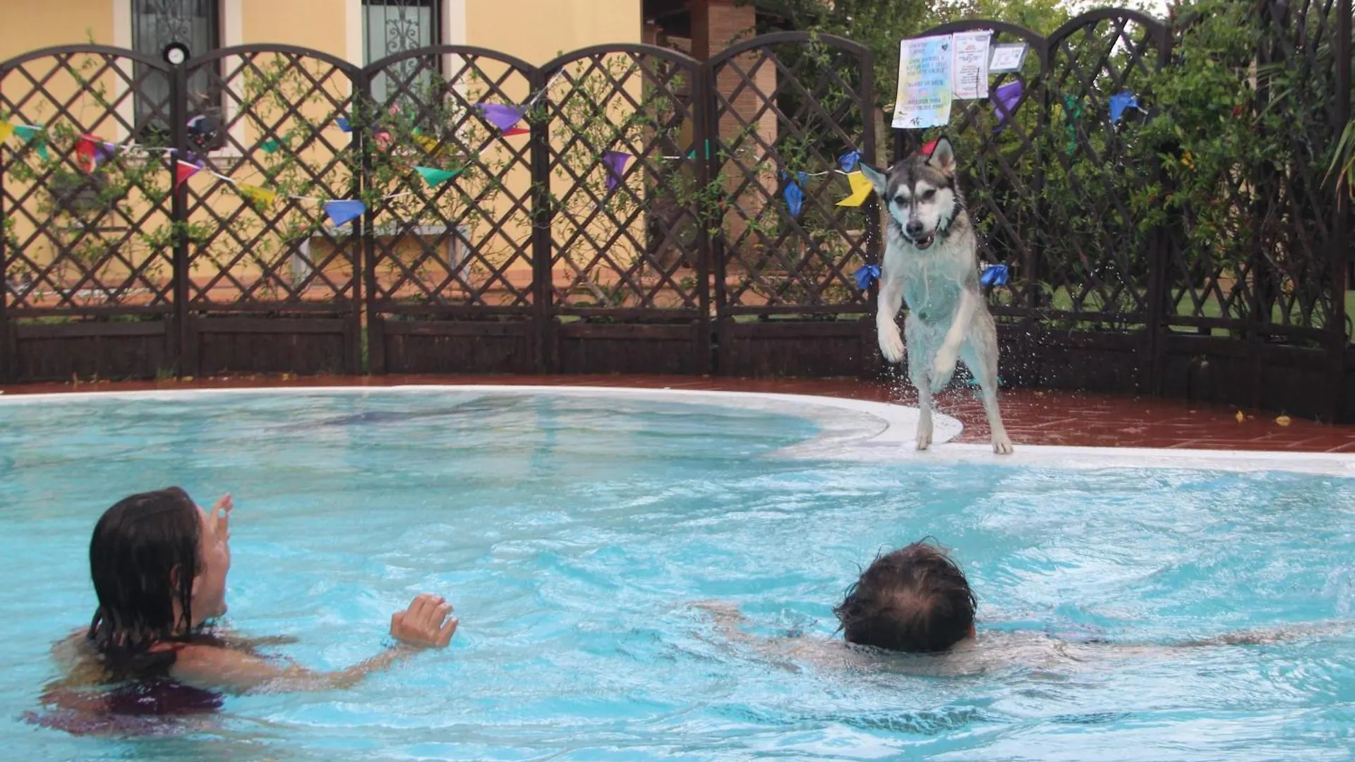 ***  Pet Hotel Virginia - Hotel Per Cani Rimini Italy