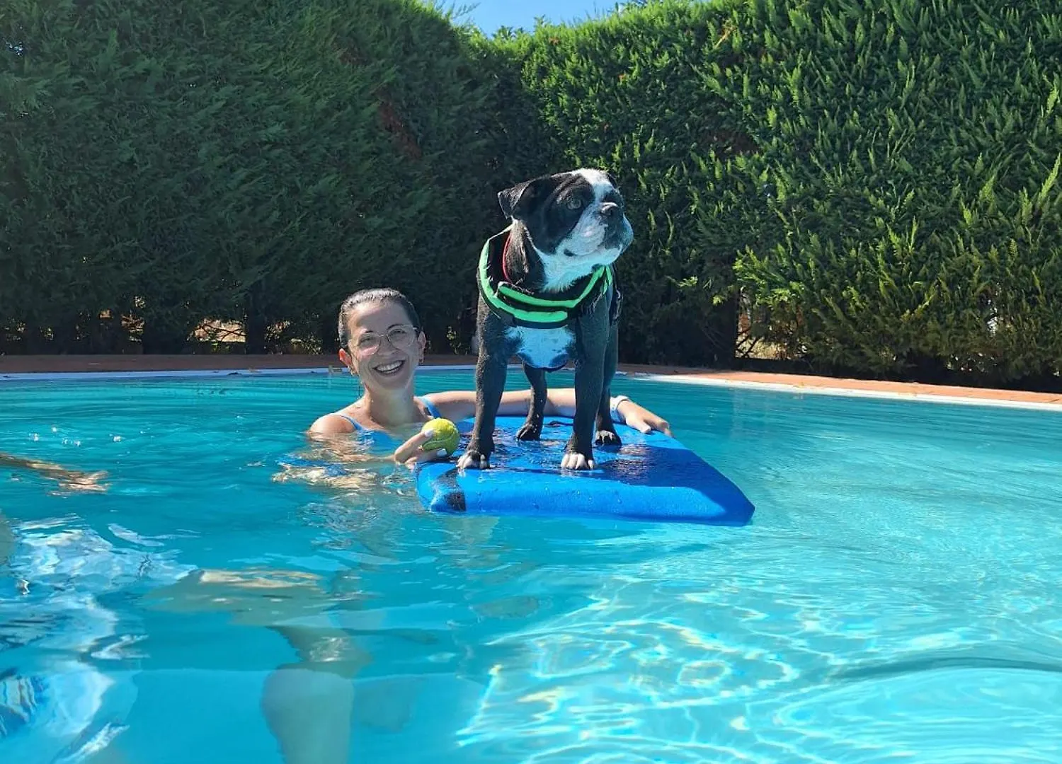 Pet Hotel Virginia - Hotel Per Cani Rimini