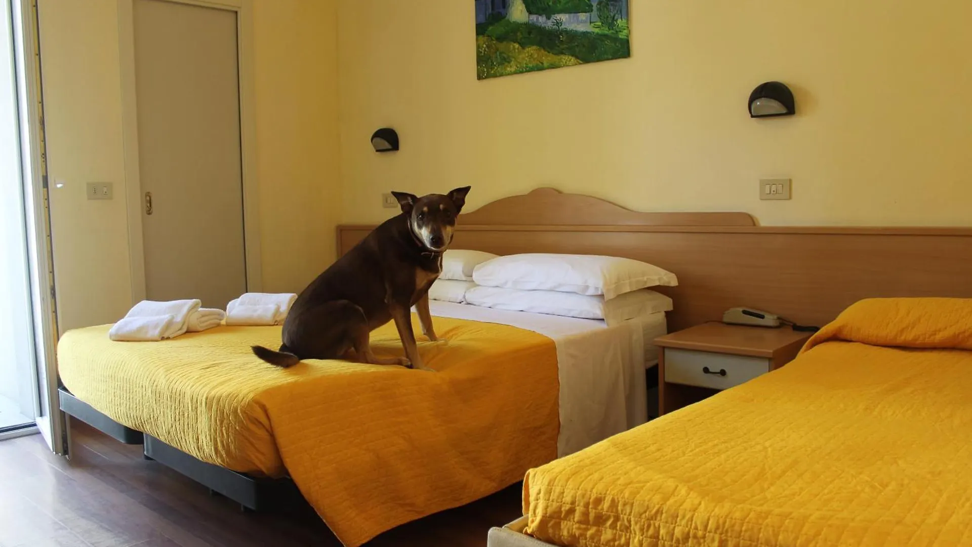 Pet Hotel Virginia - Hotel Per Cani Rimini