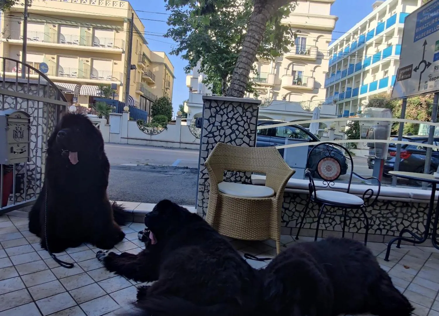 Pet Hotel Virginia - Hotel Per Cani Rimini 3*,  Italy